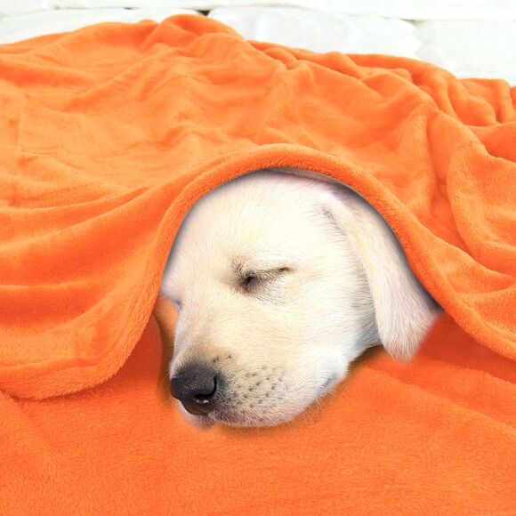 Flannel Fleece Blanket Soft Lightweight Bed Blanket Coral 78"x90" - Picture 4 of 6